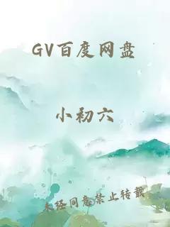 GV百度网盘