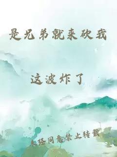 是兄弟就来砍我