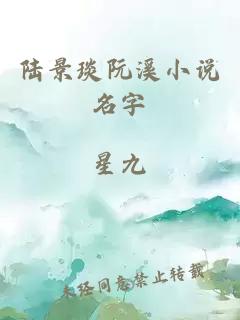 陆景琰阮溪小说名字