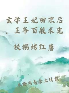 玄学王妃回京后，王爷百般求宠