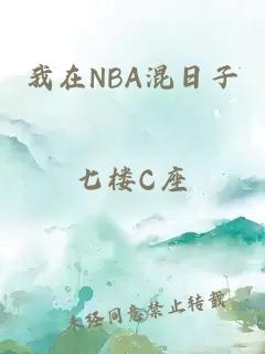 我在NBA混日子