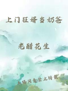 上门狂婿当奶爸