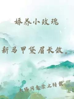 娇养小玫瑰